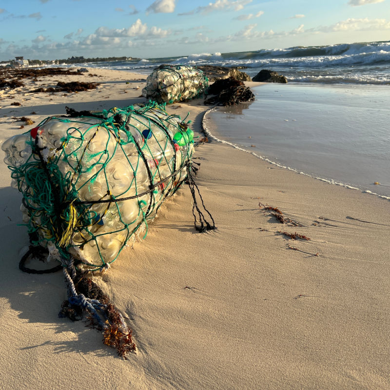 garbage collection at the beach in the Mexican Caribbean.