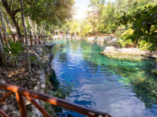 Cleanup Of Cancun Cenotes Underway After High Levels Of Contamination Found