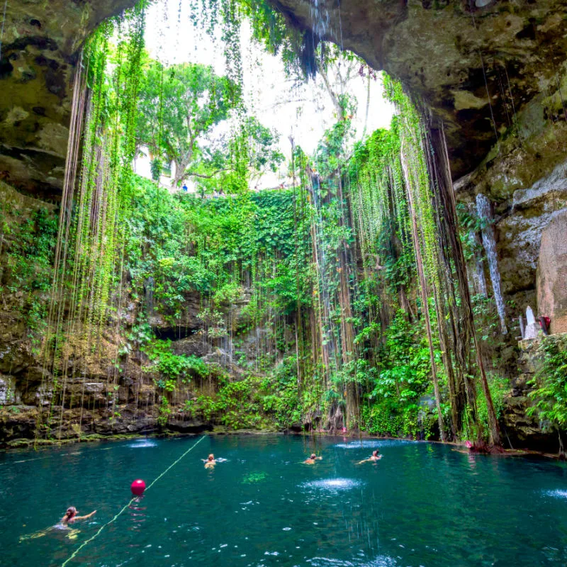 Cenote surrounded by jungle vegetation with people swimming in the water.