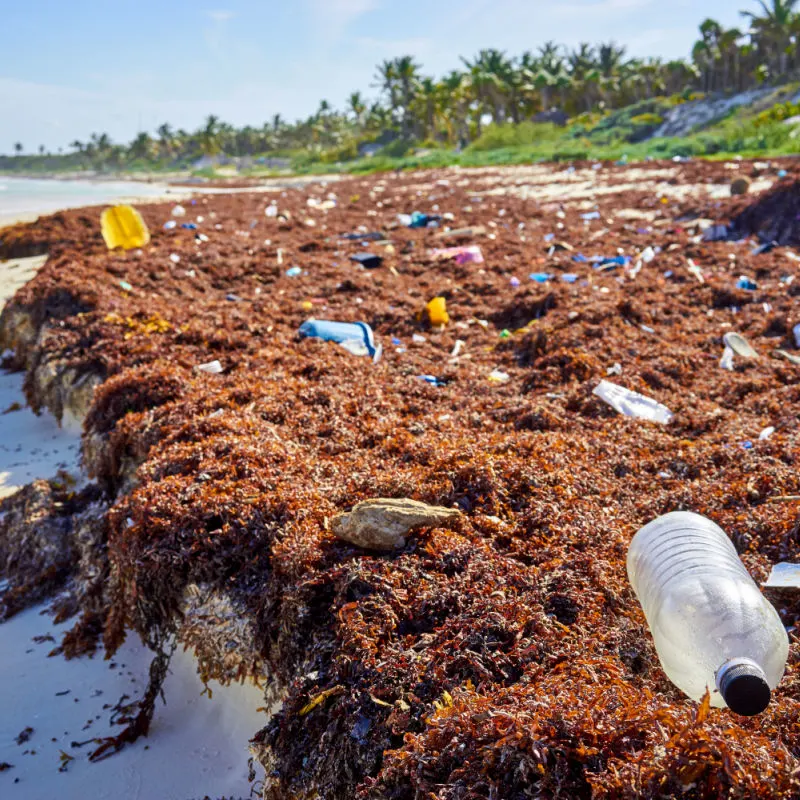 dirty beach area