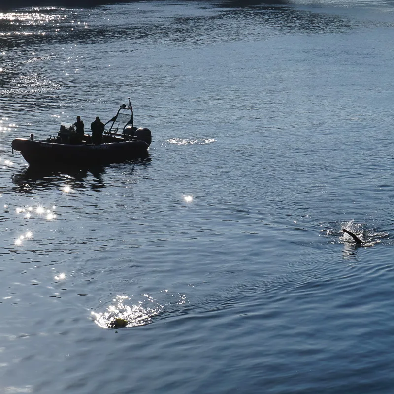 two men practicing in water