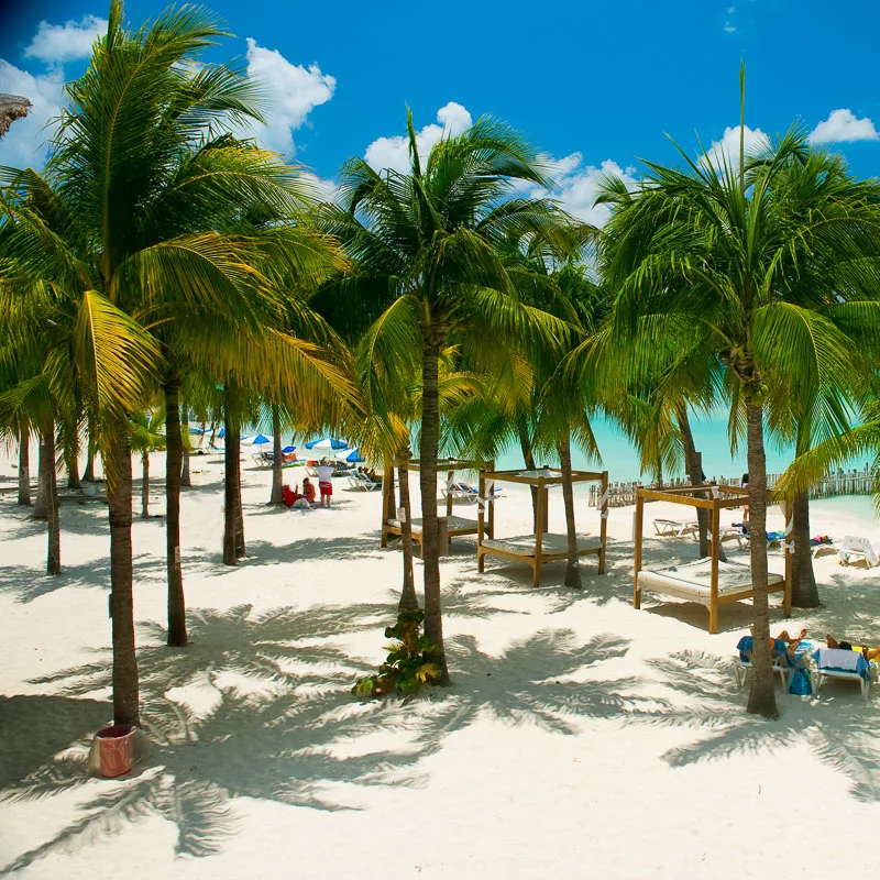 palm treed covered isla mujeres beach