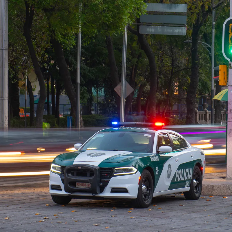 police car in city
