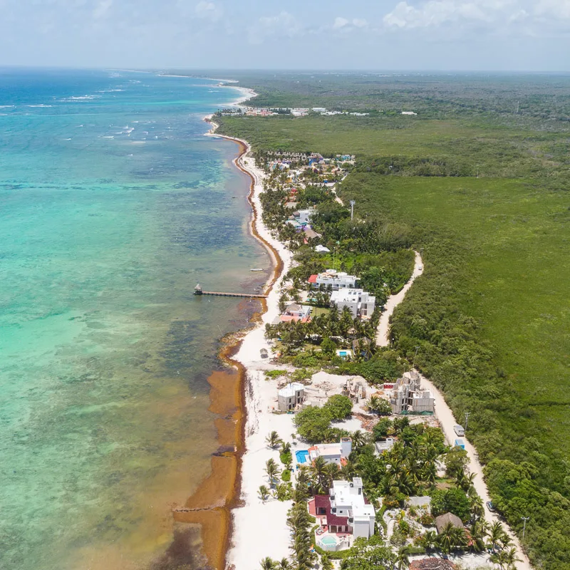 tulum from above showing sargassum