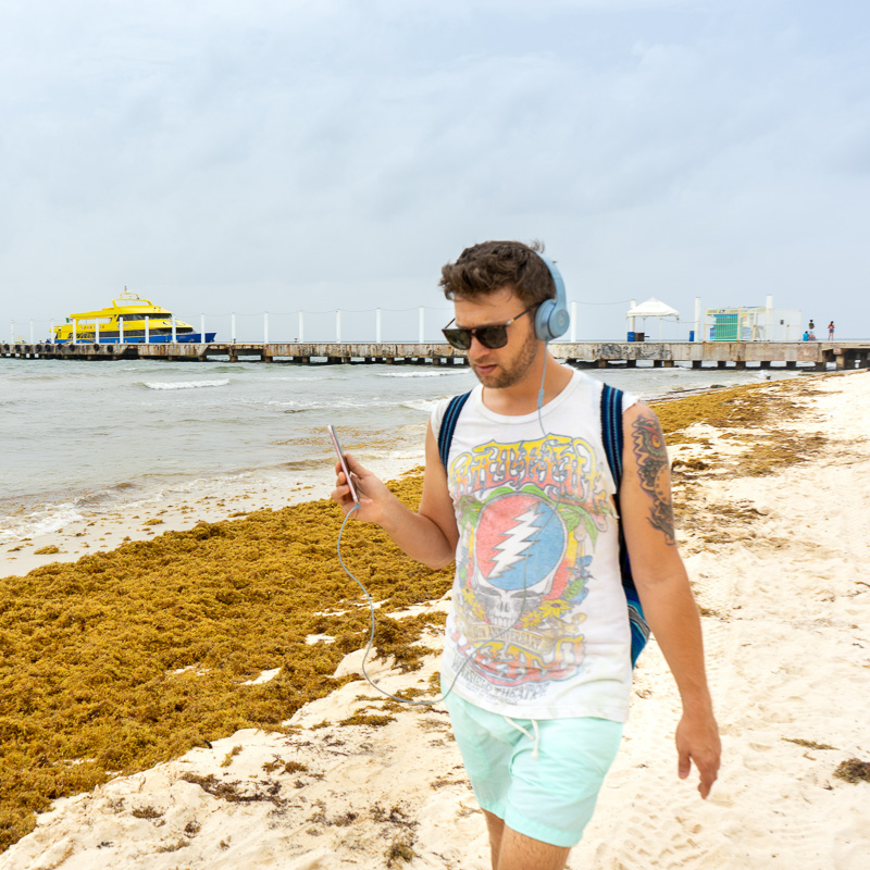 man on beach with sargassum