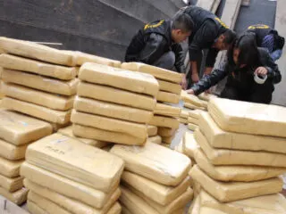 Cancun Continues Crackdown On Drugs As Over 200 Kg Seized In Raid