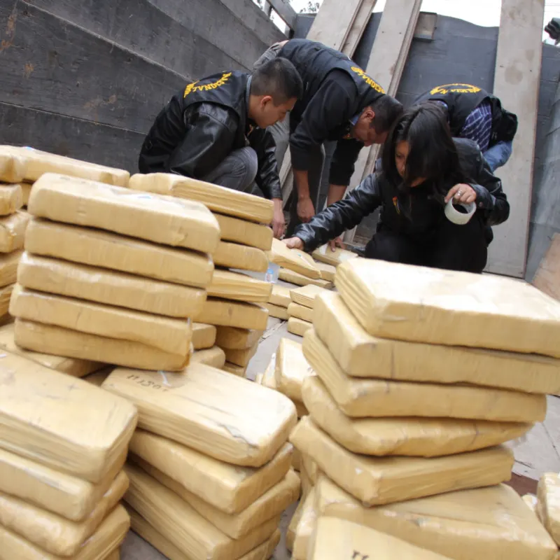 Drug seizure in Cancun with massive amounts of illegal substances