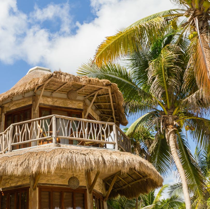 a traditional airbnb building with palm trees 