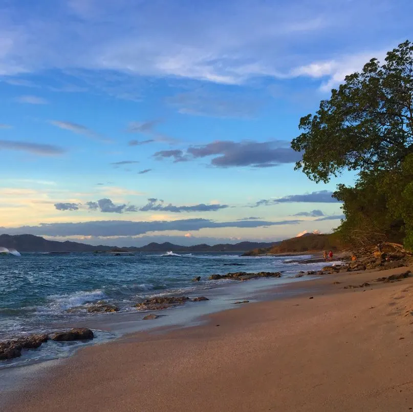 Playa Langosta