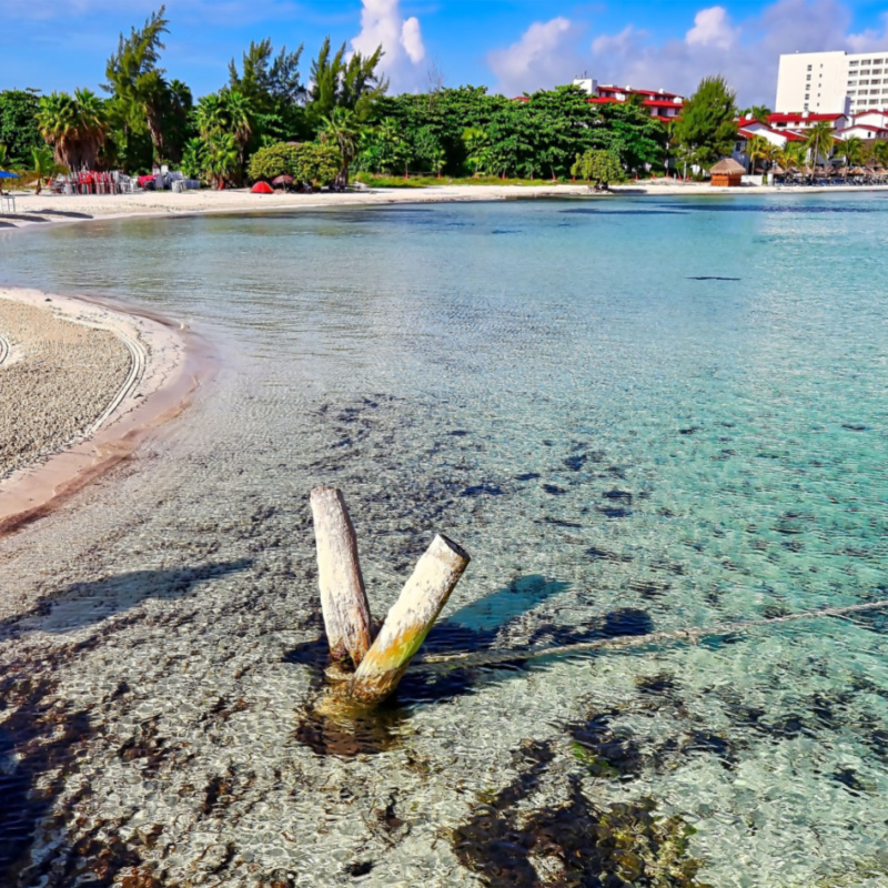 Playa Langosta