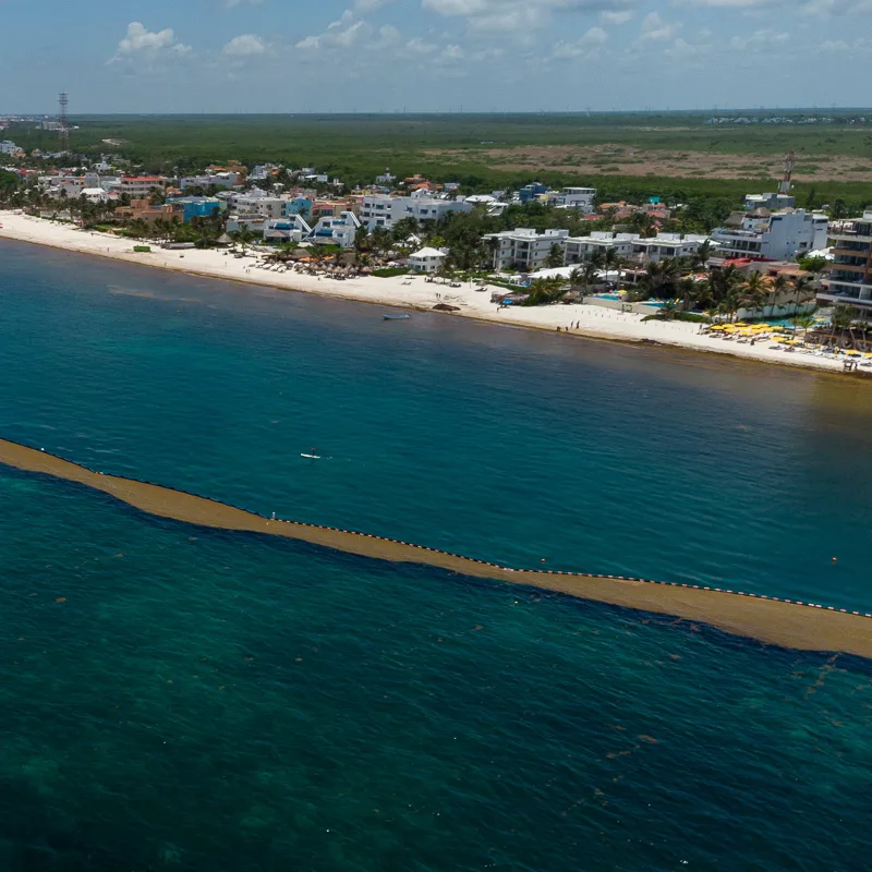 seaweed barrier in cancun