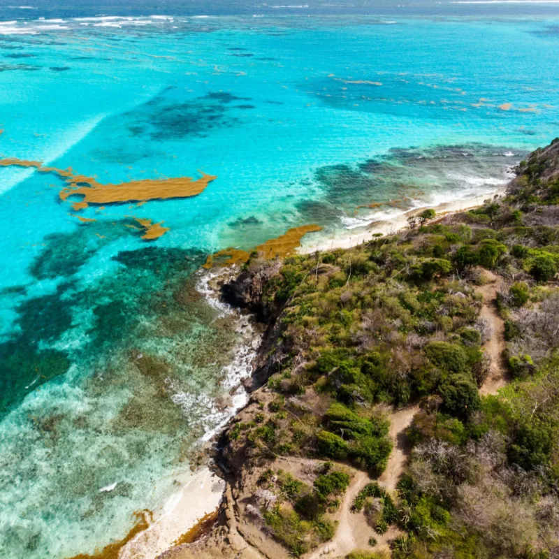 beach from above