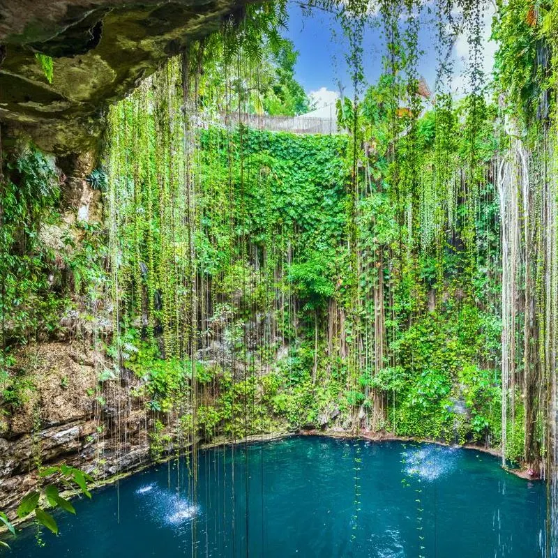 Cenote Small