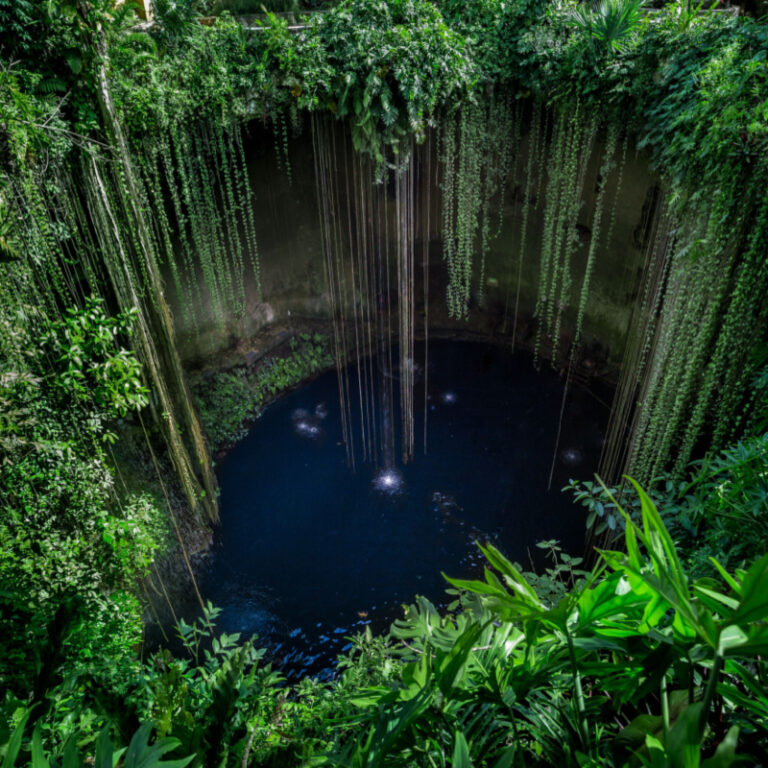 High Levels Of E. Coli Found In Several Mexican Caribbean Cenotes ...