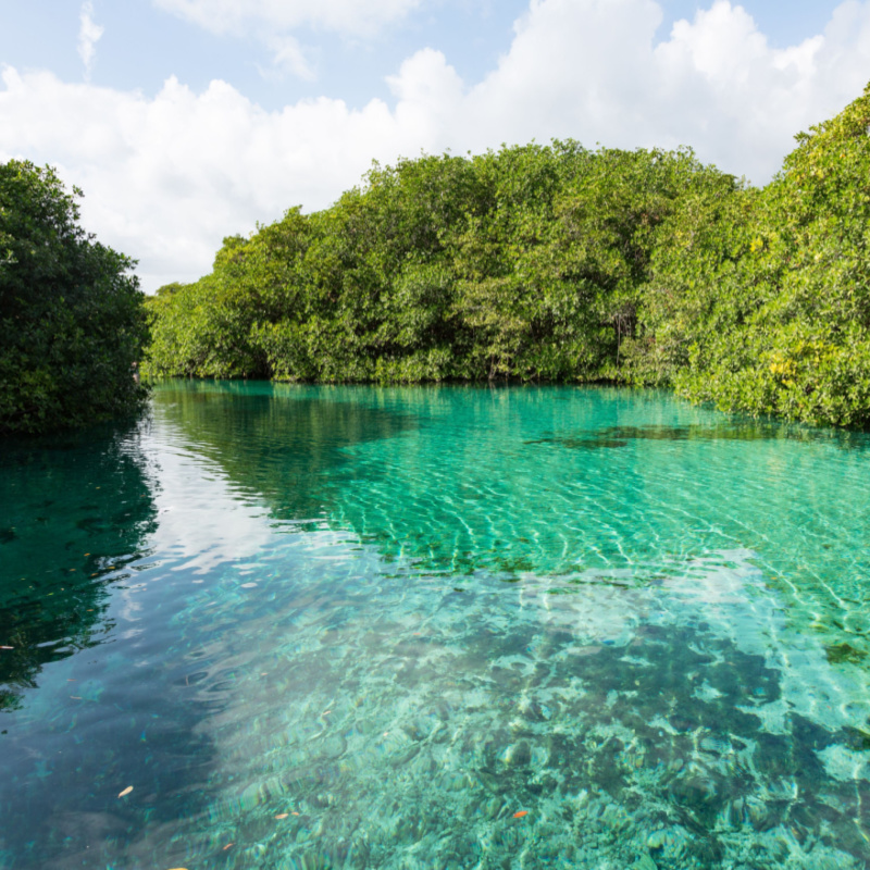 cenote in mexico