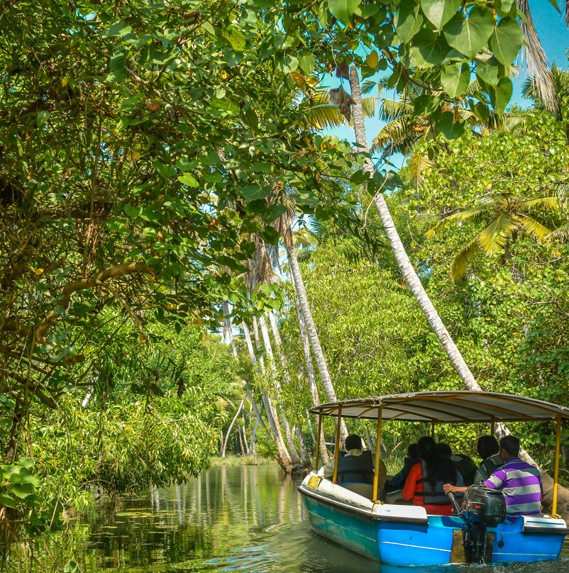 Jungle Boat Tour 