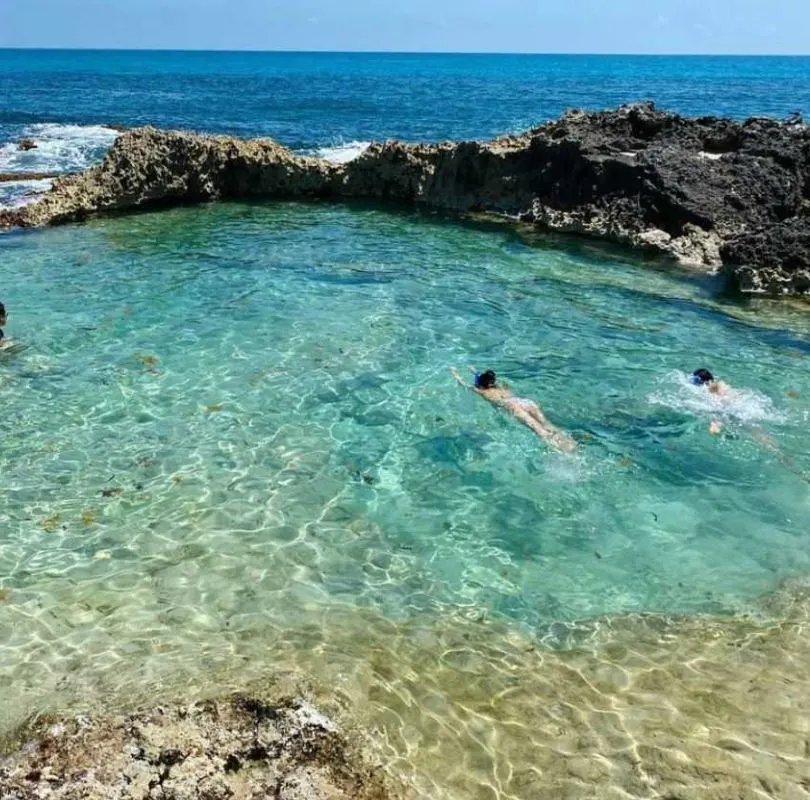 La Piscina Del Rey