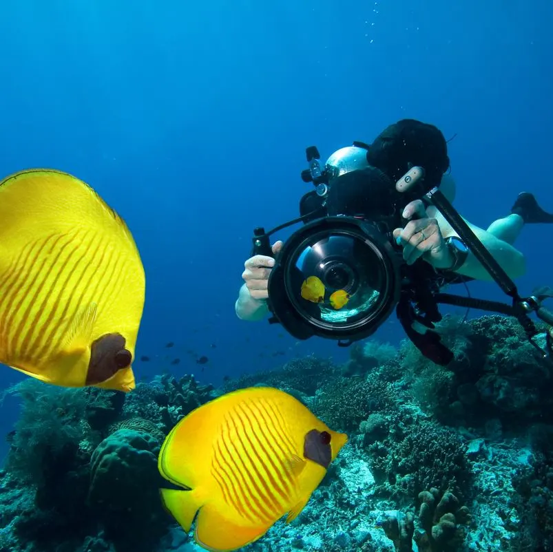 Scuba Diver With Camera 