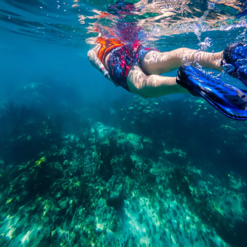 snorkelling in Mexico