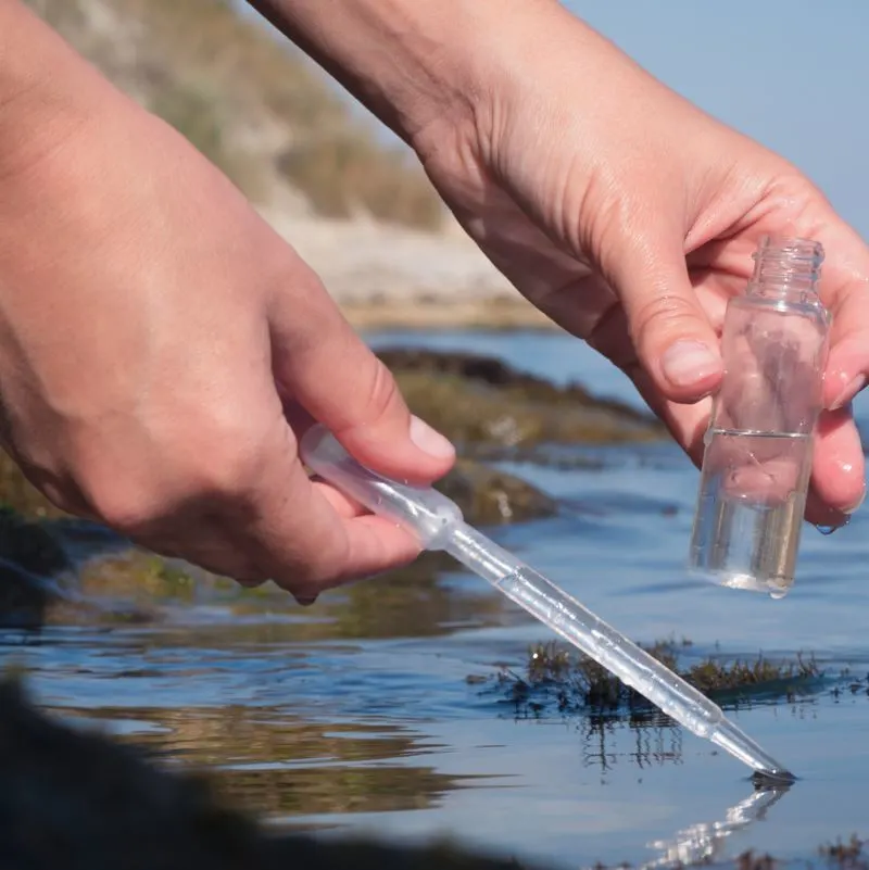 Testing water pollution 