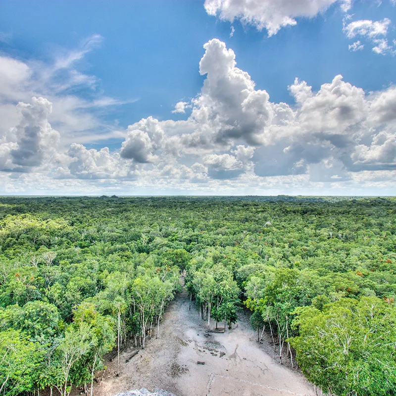 View from Pyramid in Coba