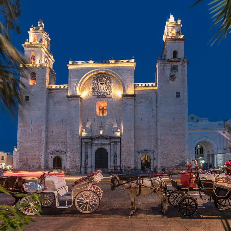 Beautiful cathedral lit up in Merida with horse drawn carriages out front.