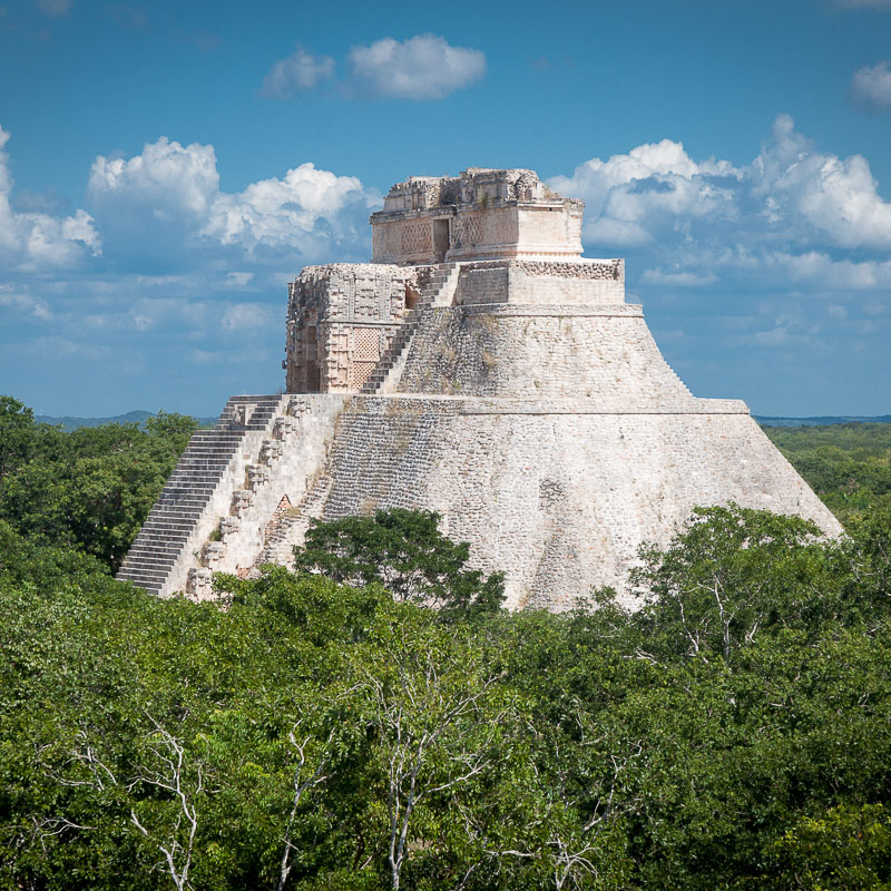 mayan ruins in rainforest