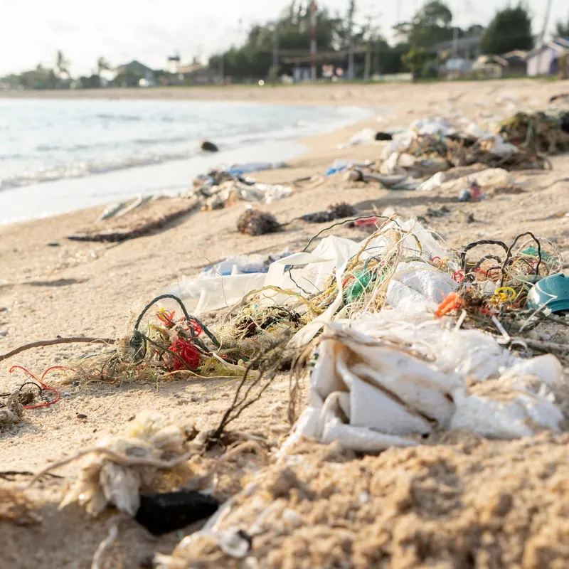 Trash scattered on the beach