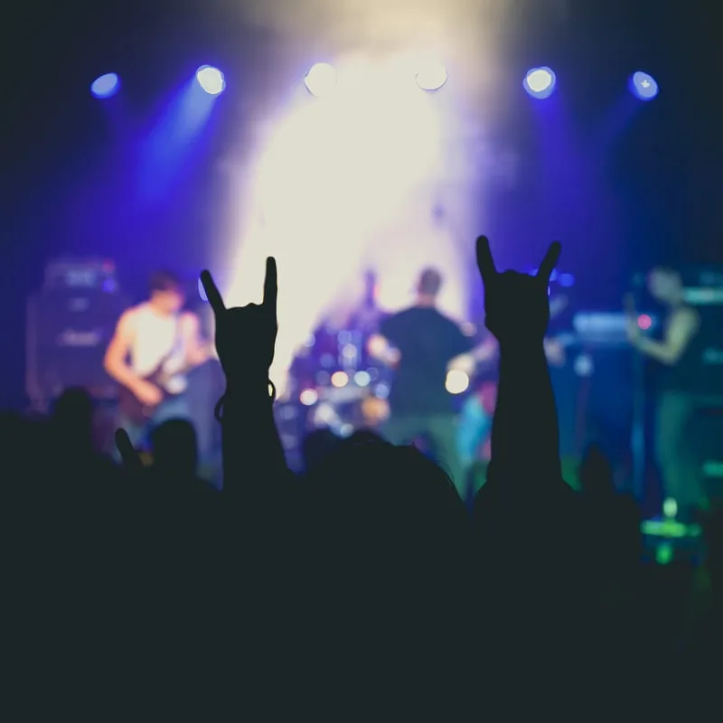 fans rocking at a concert