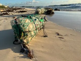 45 KG Of Waste Have Been Removed In Just 2 Hours From One Of Cancun's Most Famous Beach