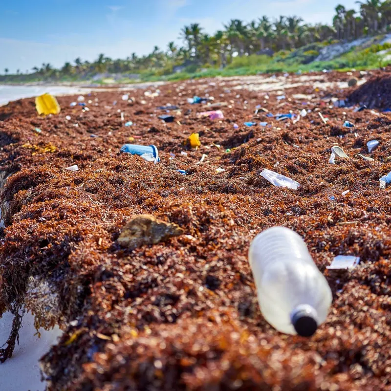 Macro of trash scattered on cancun beach