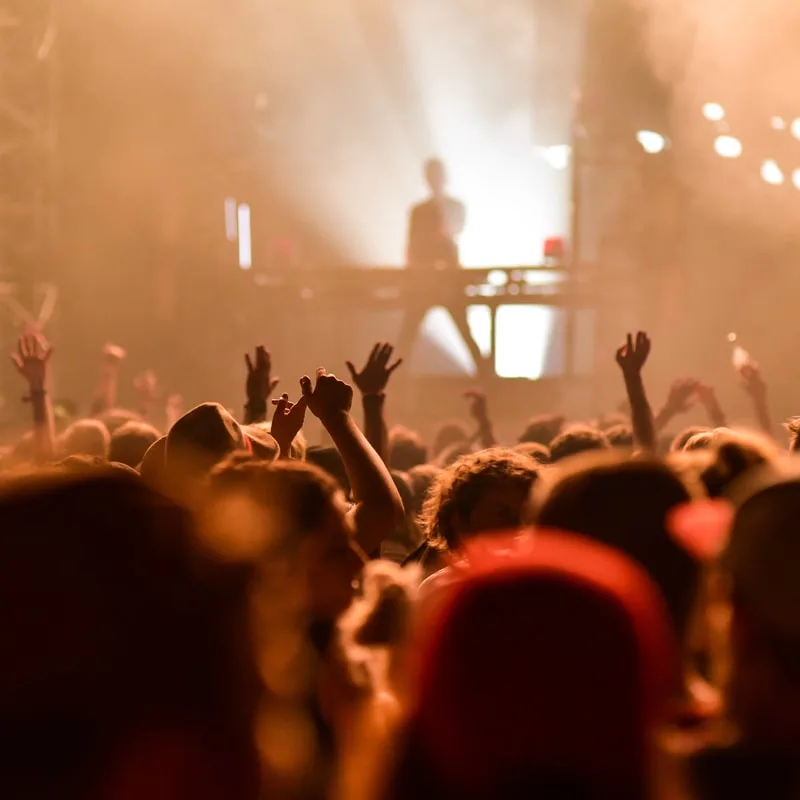 fans enjoying a musica festival