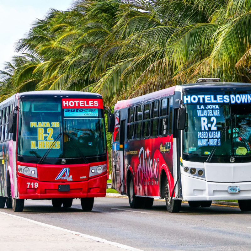 Two Buses Side by Side in Cancun