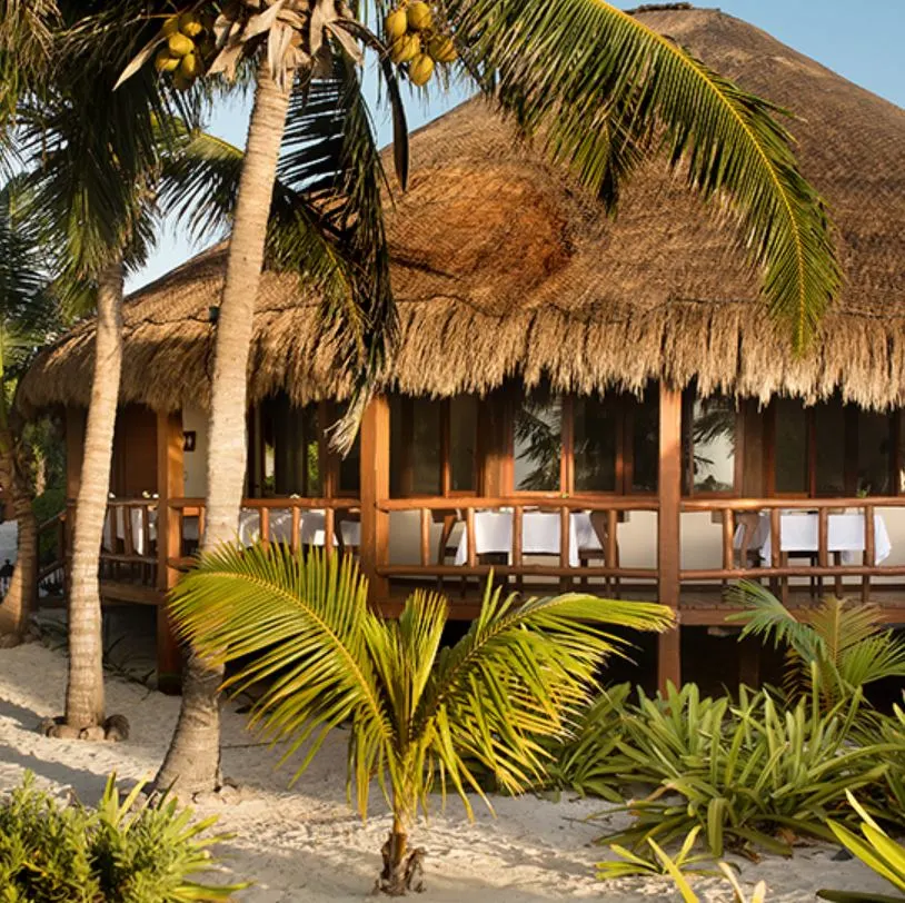 Casa Chable in Tulum from the outside, surrounded by palm trees