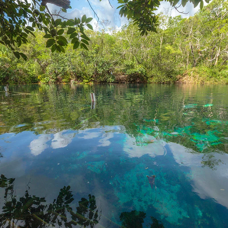 Cenote Aktun-Ha