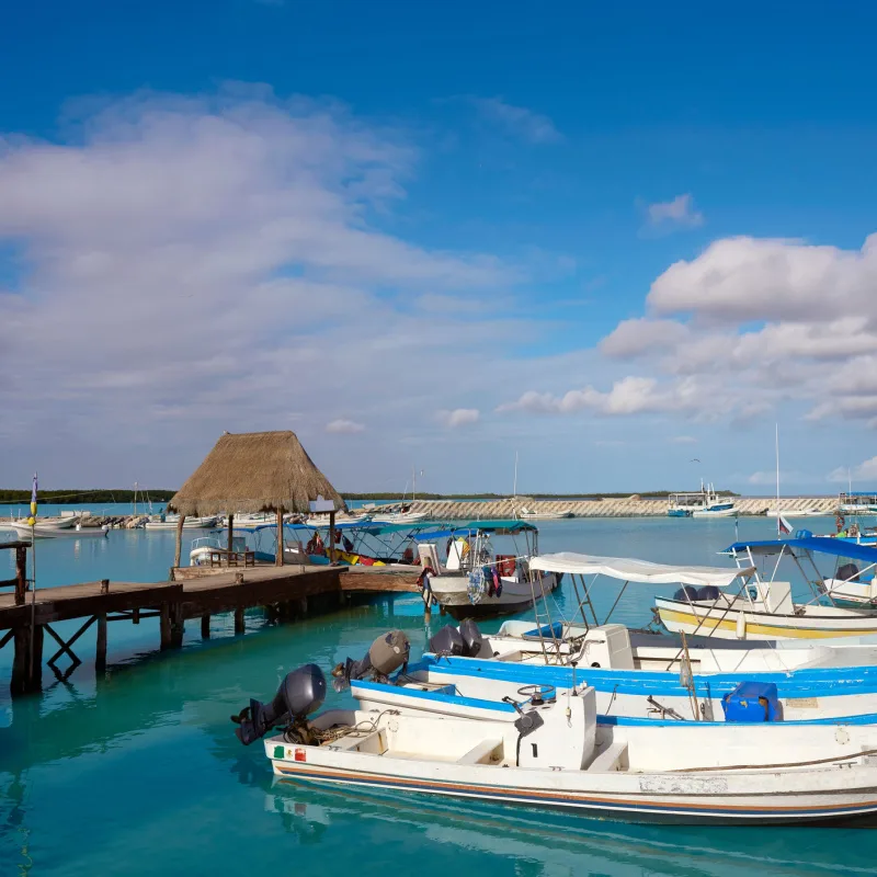 Chiquita boats