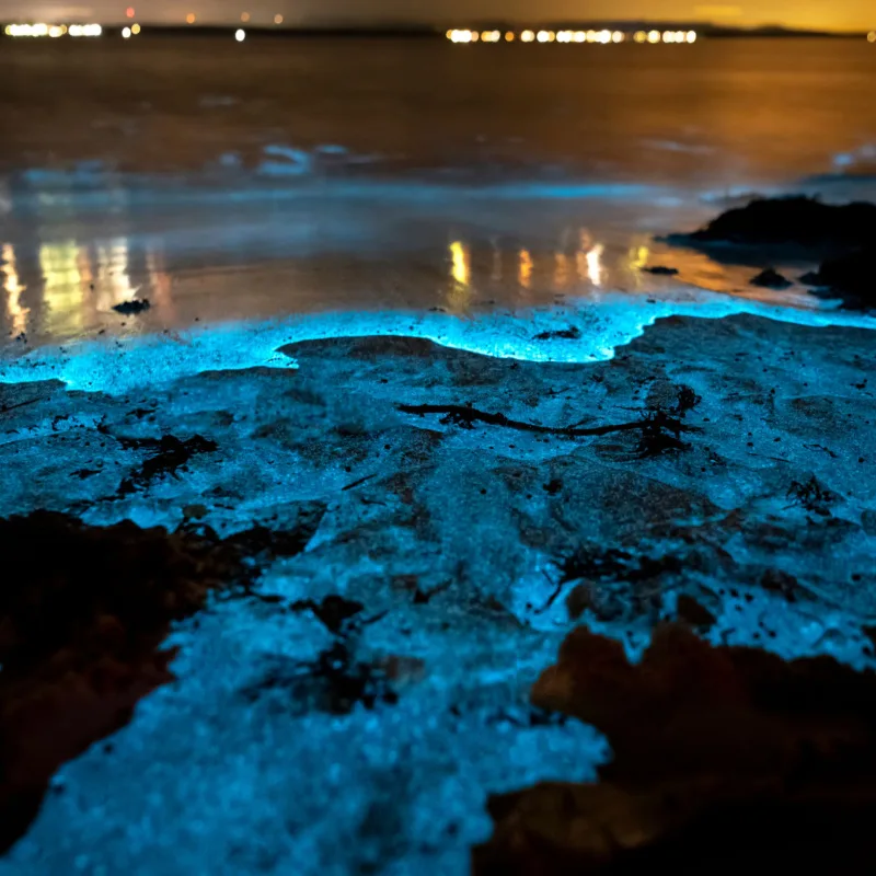 Bioluminescent Water In Holbox, Mexico