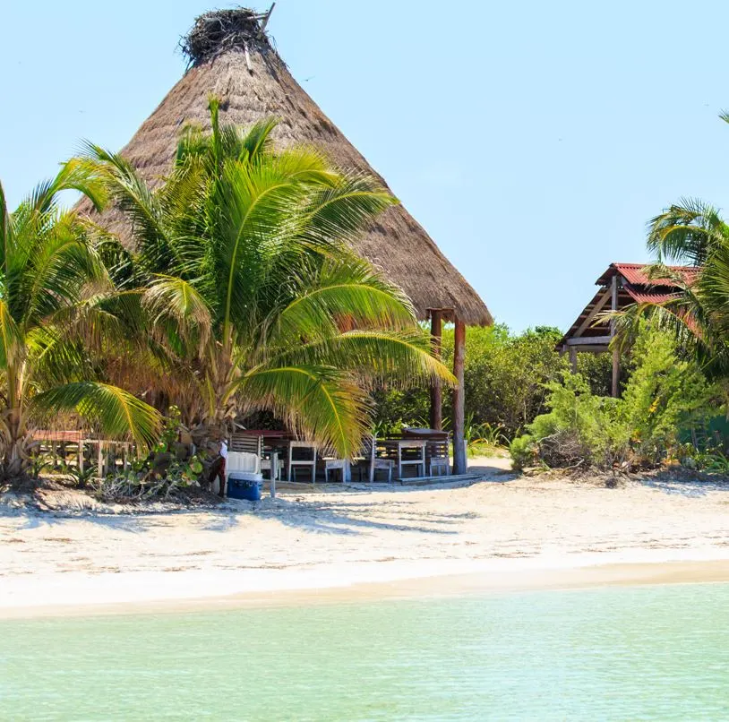 Amazing Beach on the Island of Isla Contoy, Mexico