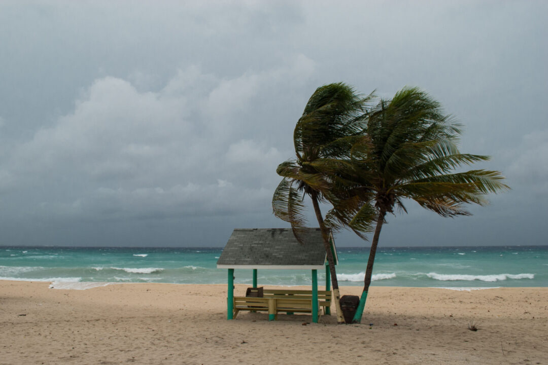 Cancun Officials Issue New Warning Over Fake News About Hurricanes