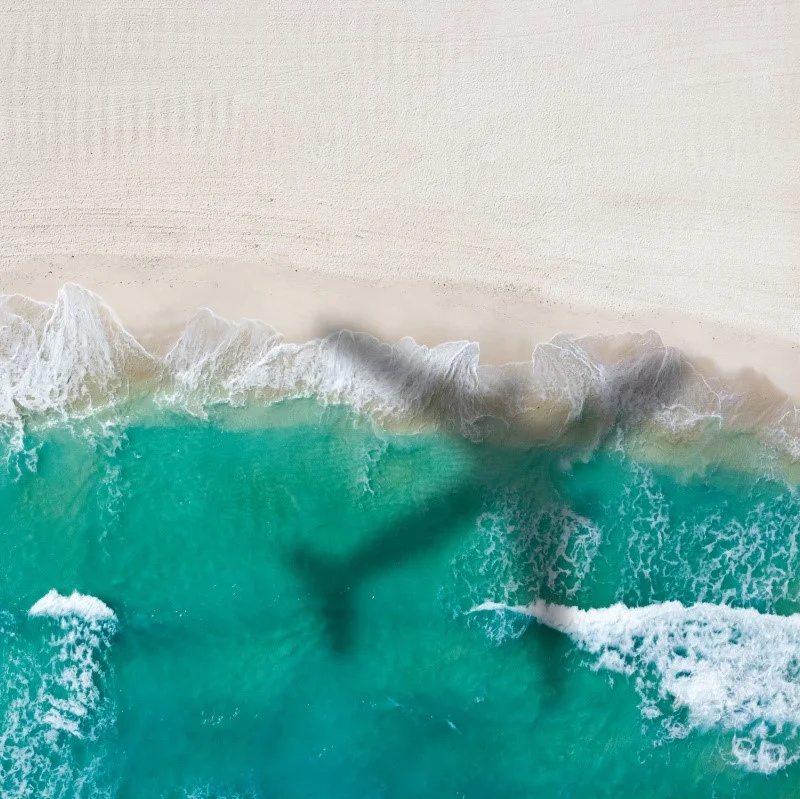 shadow of plane flying over the beach in Cancun.