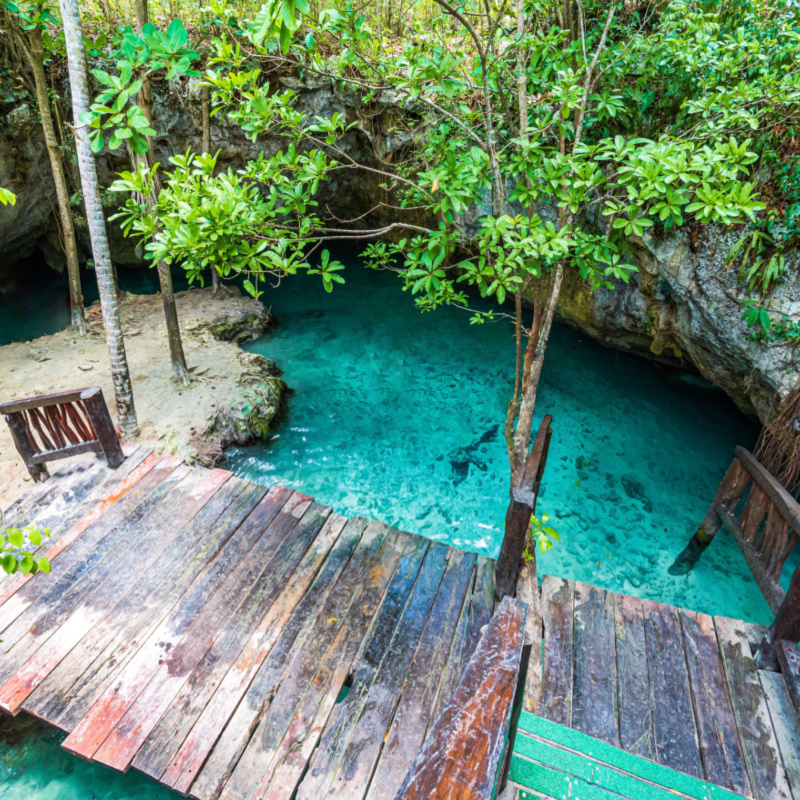 A cenote without tourists in the Riviera Maya during the day.
