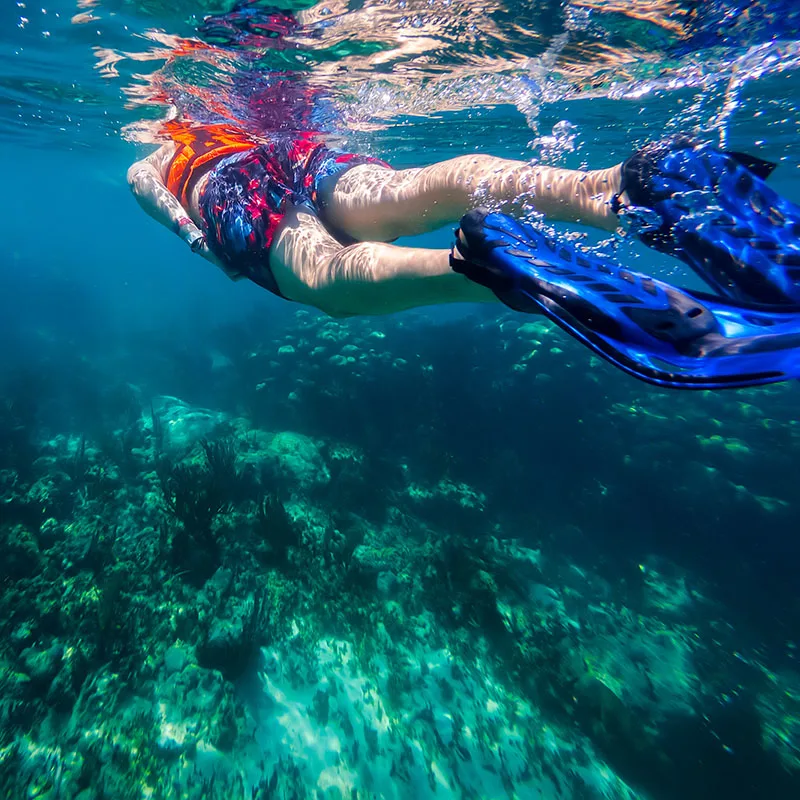 Snorkeling