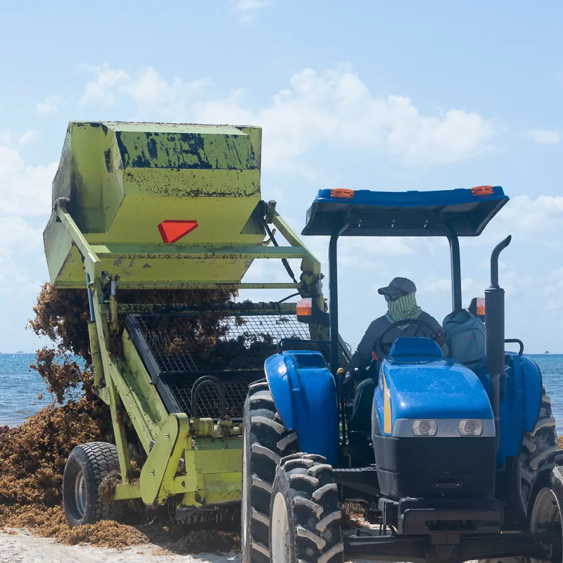 tractor clearing sargassum