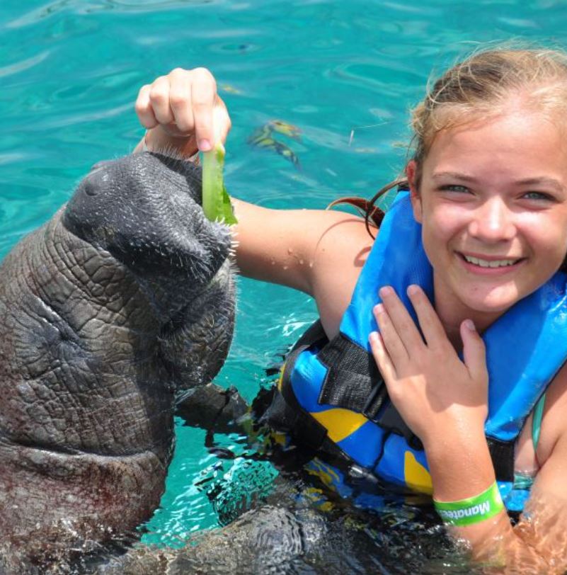 Girl Feeding Manatee 