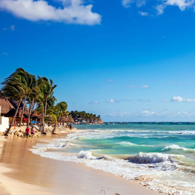 Playa del Carmen coastline, palm trees, sand, and beach.