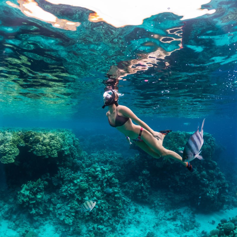 Snorkeling in Cancun's blue waters with tropical fish 