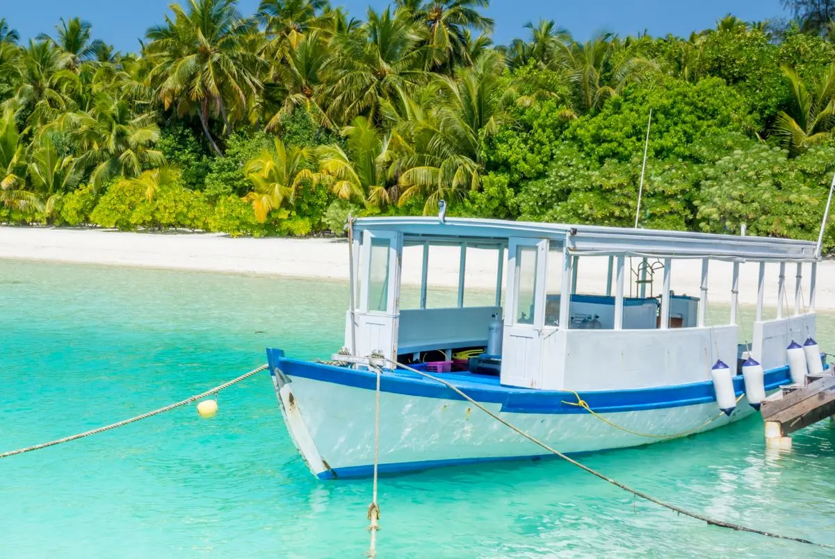 Top 3 Boat Tours In Cozumel For Your Next Trip