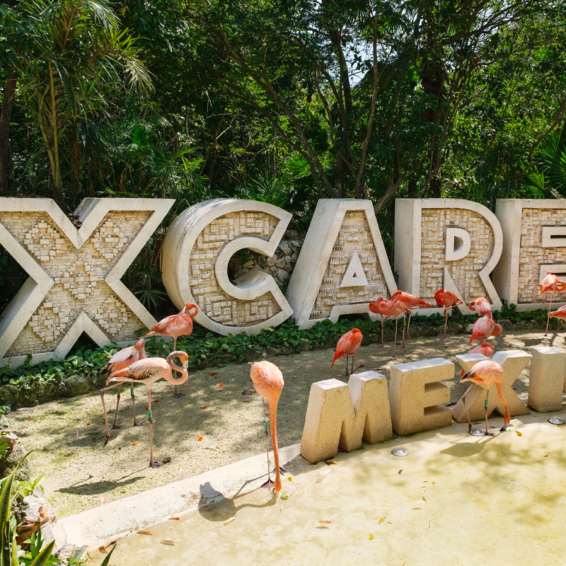 Xcaret Group