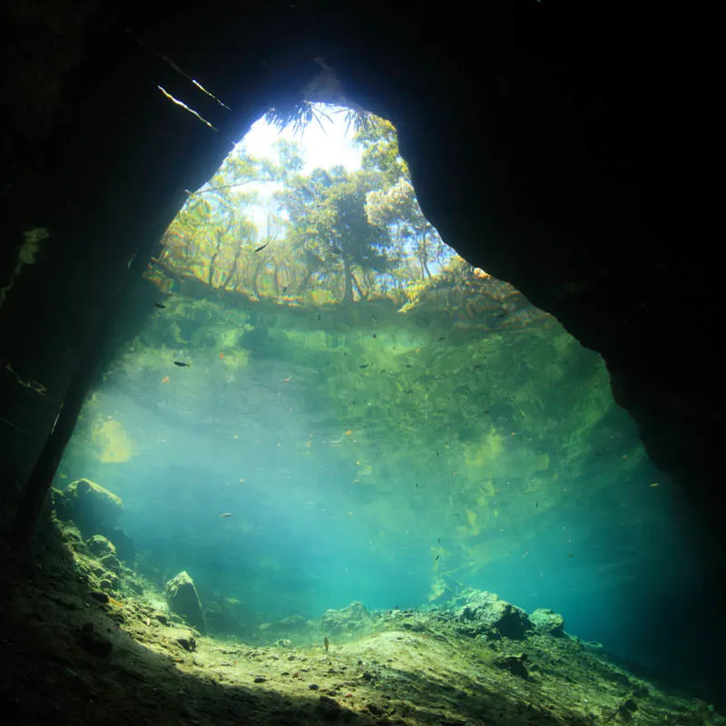 Entrance area of cenote underwater cave from below