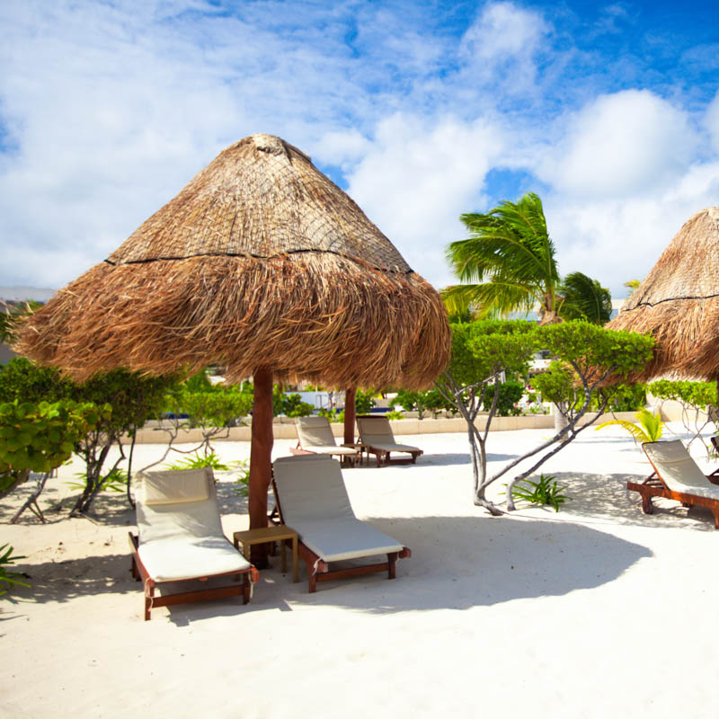 beds under shade on beach